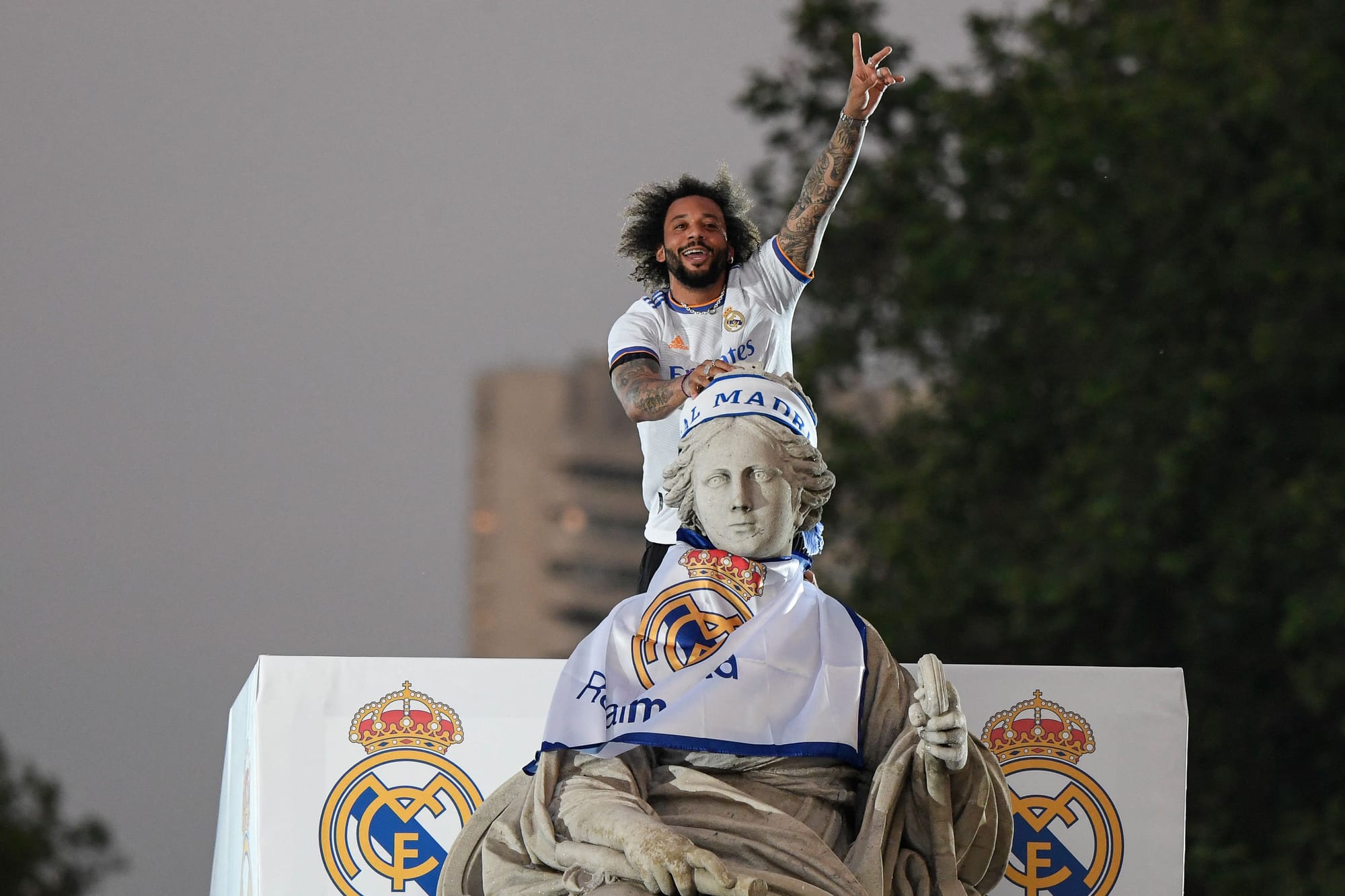 這種特質在 這種特質在